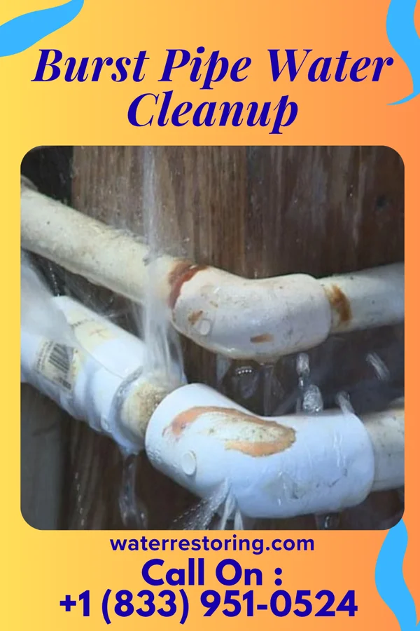 Burst Pipe Water Cleanup in Solon Springs, WI