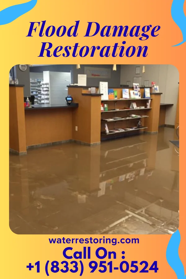 Flood Damage Restoration in Solon Springs, WI