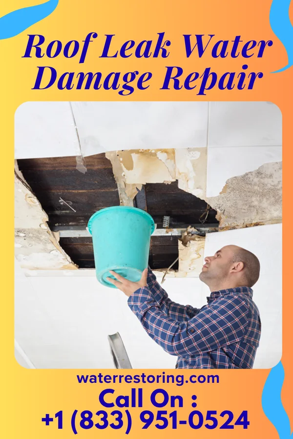 Roof Leak Water Damage Repair in Solon Springs, WI