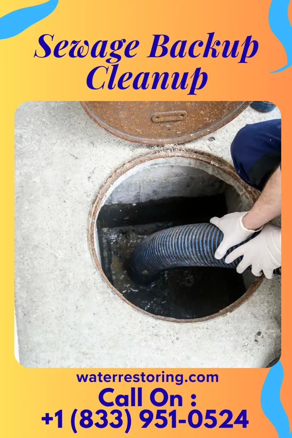 Sewage Backup Cleanup in Solon Springs, WI