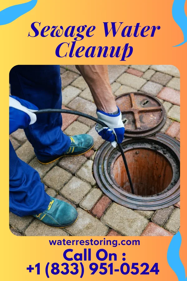 Sewage Water Cleanup in Solon Springs, WI