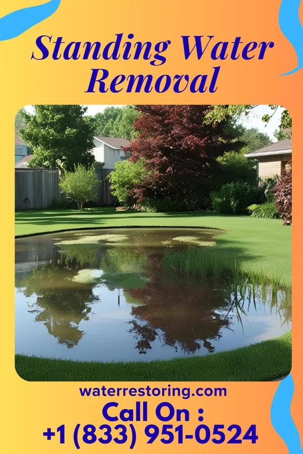 Standing Water Removal in Solon Springs, WI